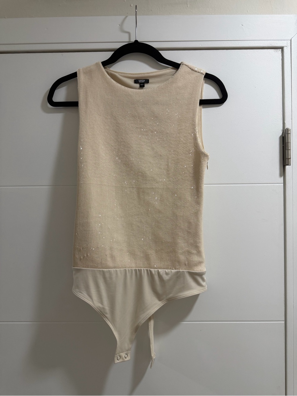 Express Cream Sleeveless Sparkle Knit Bodysuit
